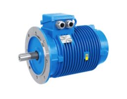 Motori elettrici Rossi